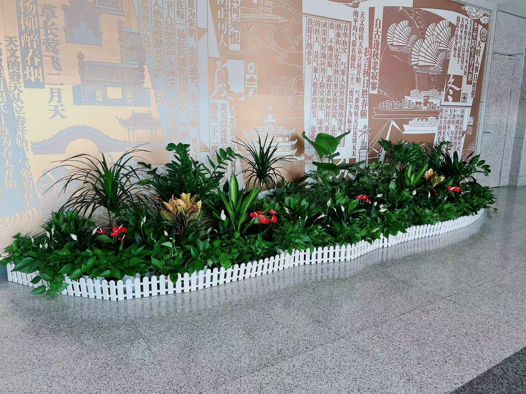 “宁波慈溪绿植租摆价格全解析，快收藏起来！验